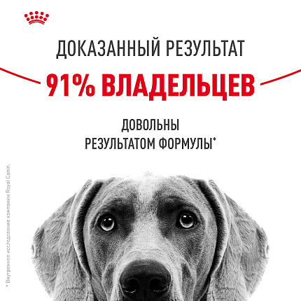 Сухой корм Royal Canin Maxi Dermacomfort для взрослых крупных пород 10 кг